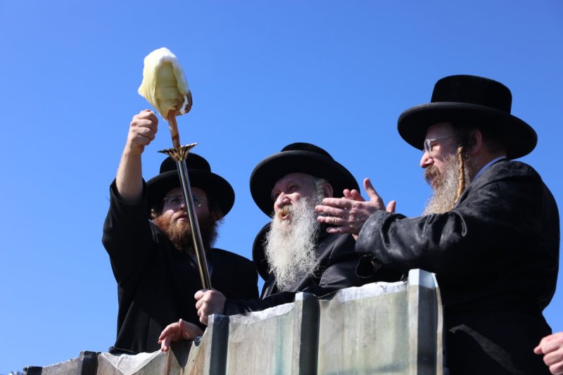 דוד כהן