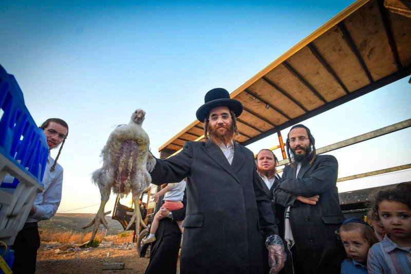 ארי קופרשטוק