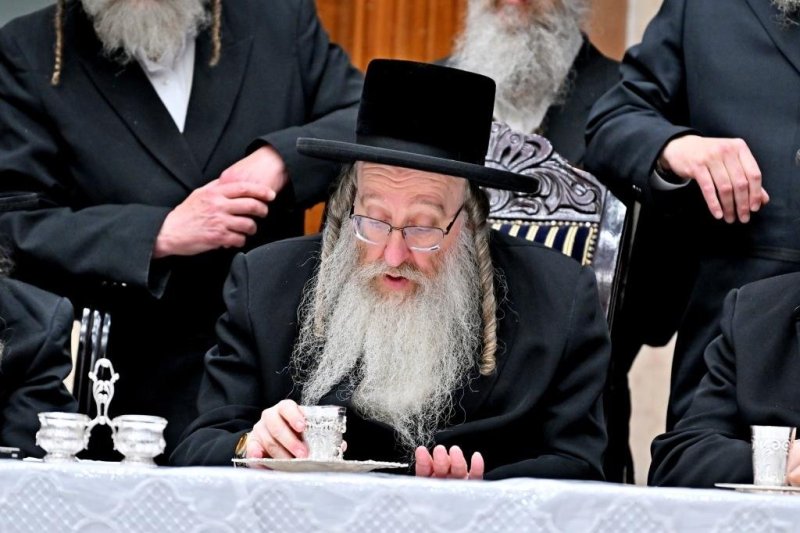 יהושע פרוכטר