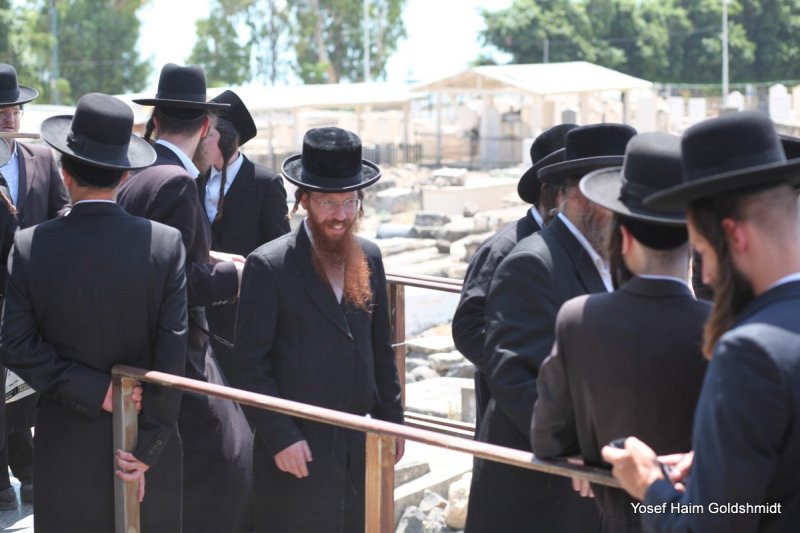 יוסף חיים גולדשמידט