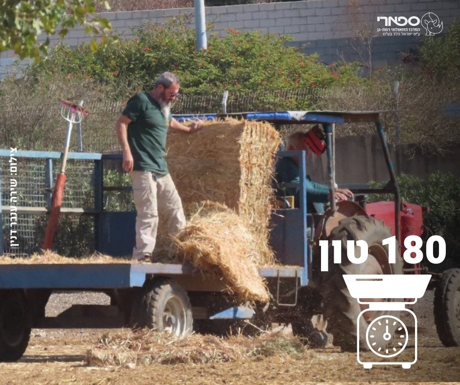 דוברות הספארי