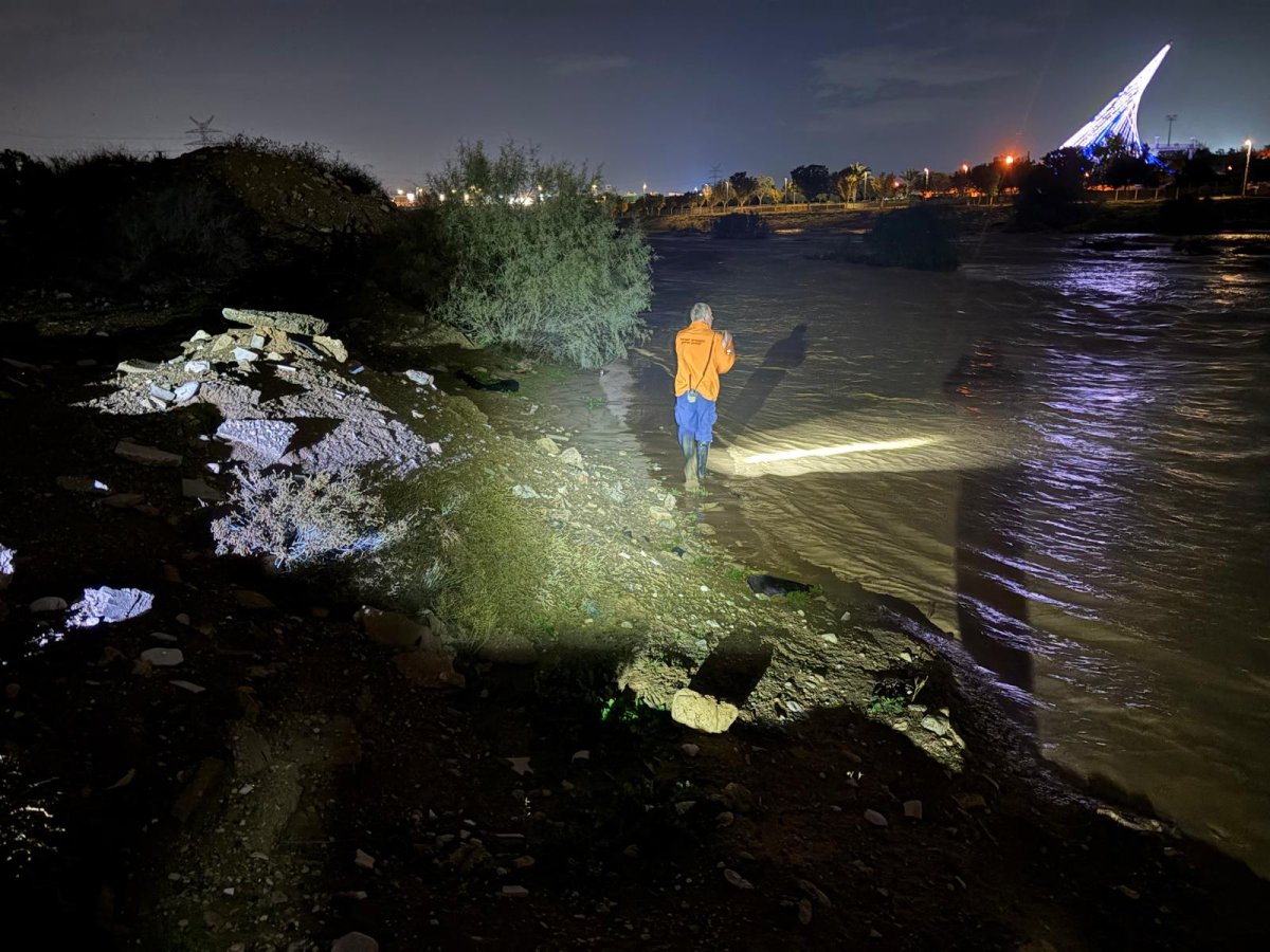 דוברות המשטרה