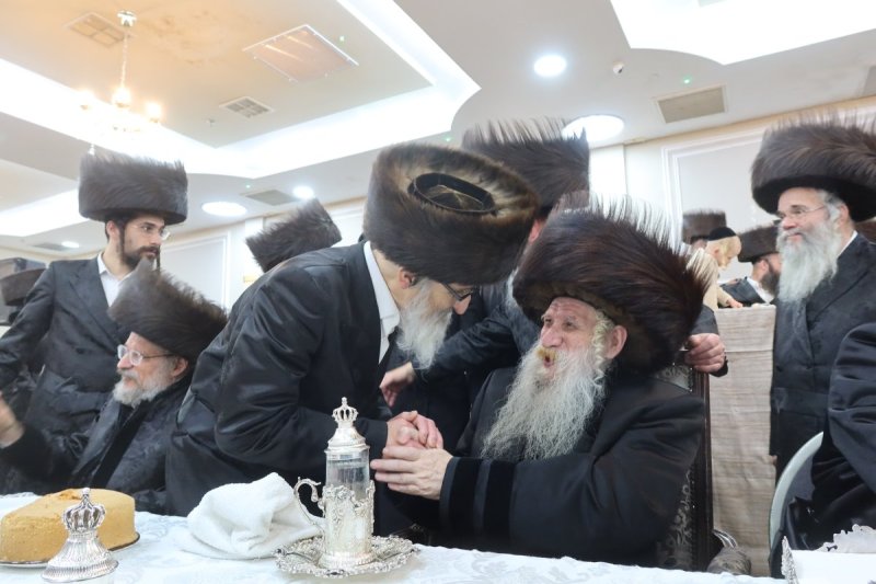 שימי פ.