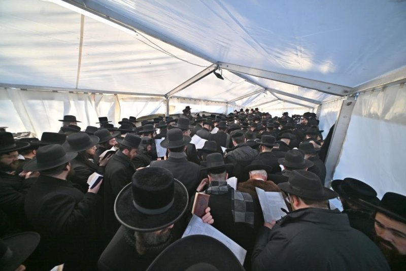 יהושע פרוכטר