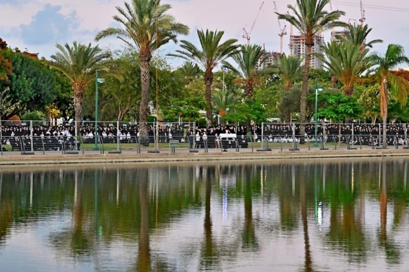 יהושע פרוכטר