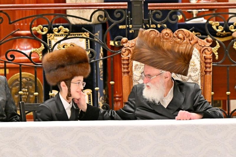 יהושע פרוכטר