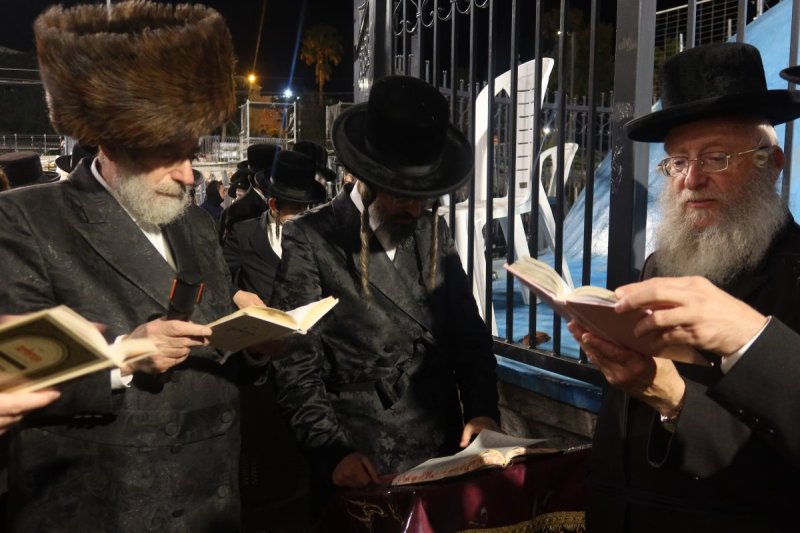 שימי פ.
