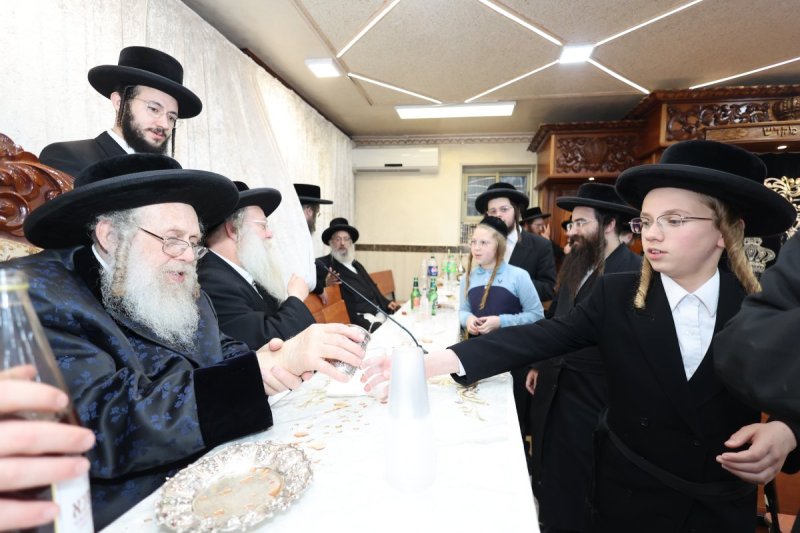 שלומי טריכטר