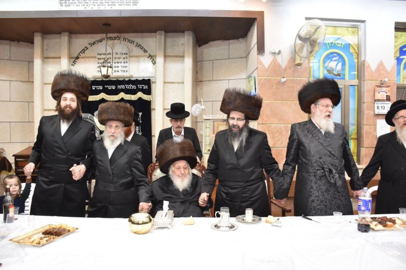 יהודה פרקוביץ