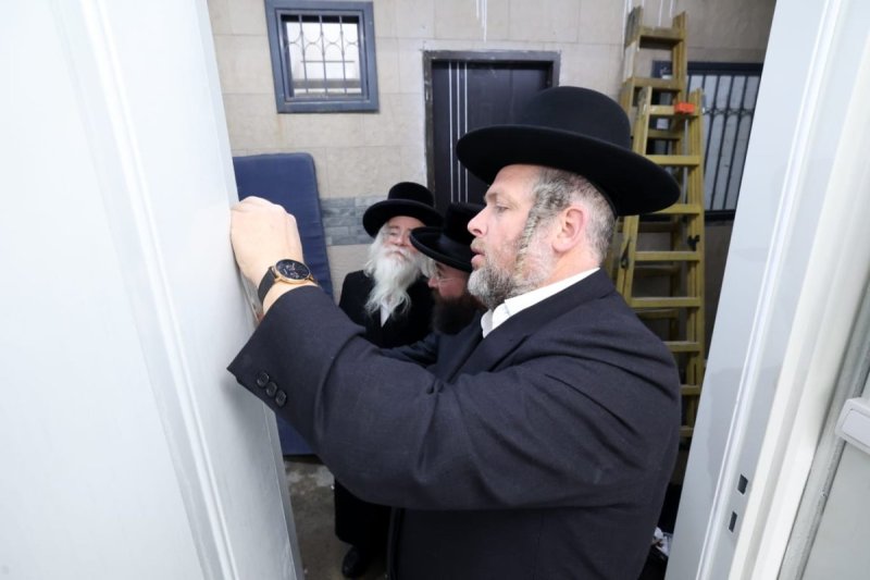 קובי הר צבי