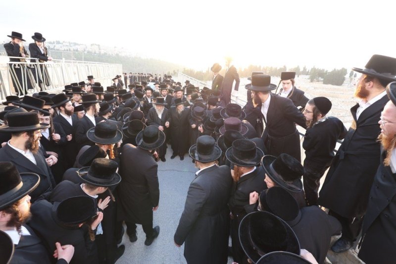 שלומי טריכטר