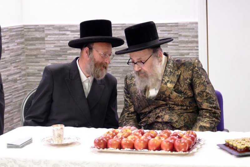 דודי בראון