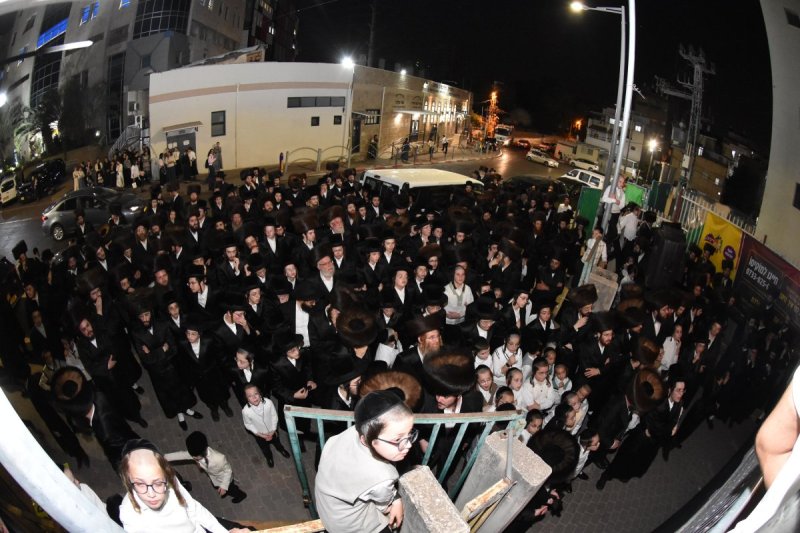 יהודה פרקוביץ