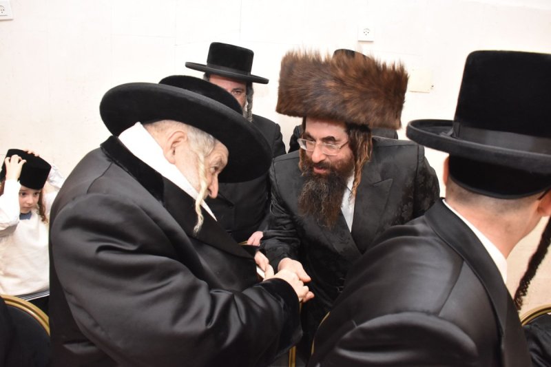 יהודה פרקוביץ