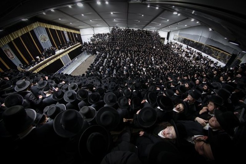 א. אייזנבאך ודוד ארזני