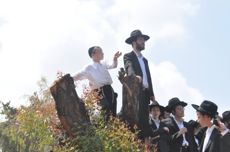 משה גולדשטיין