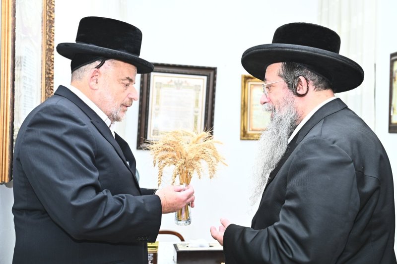 שוקי לרר