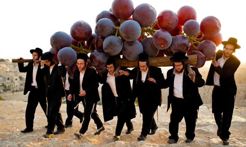 פרשת שלח תשפ"ה, קריניאן גפנים בוגרות, יקבי ירושלים
