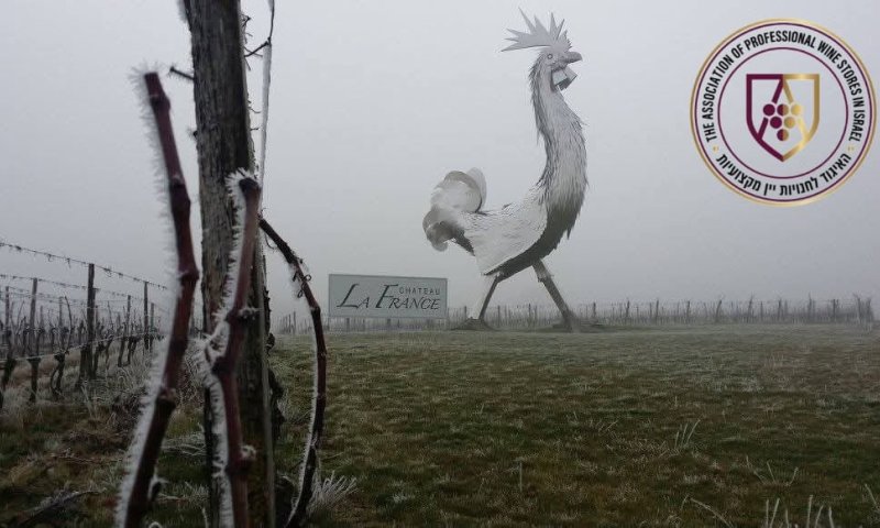 פרשת תצוה תשפ"ו, יקב שאטו לה פראנס