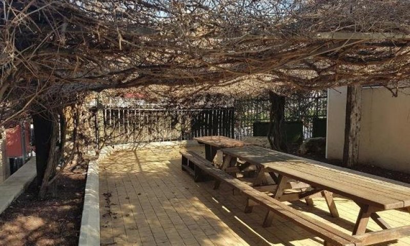 פרשת וארא תשפ"ו, אליקנט בושה, יקב בנימינה