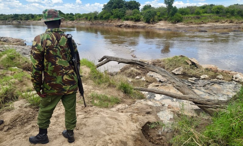 "לא ידעתי איך לירות": גברים אפריקאים הוכרחו להילחם למען רוסיה