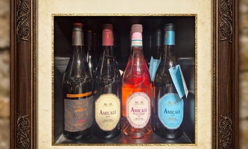 פרשת תזריע מצורע תשפ"ו, לבן ורוזה, יקב אמיקל