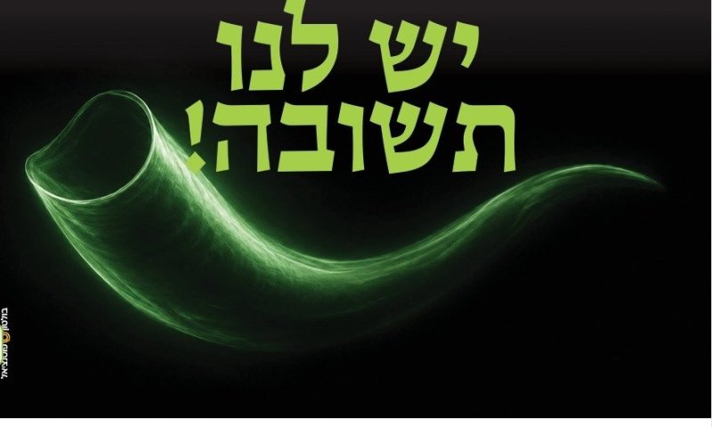 רוצים סינון מוקפד ומהודר? לאתרוג יש תשובה